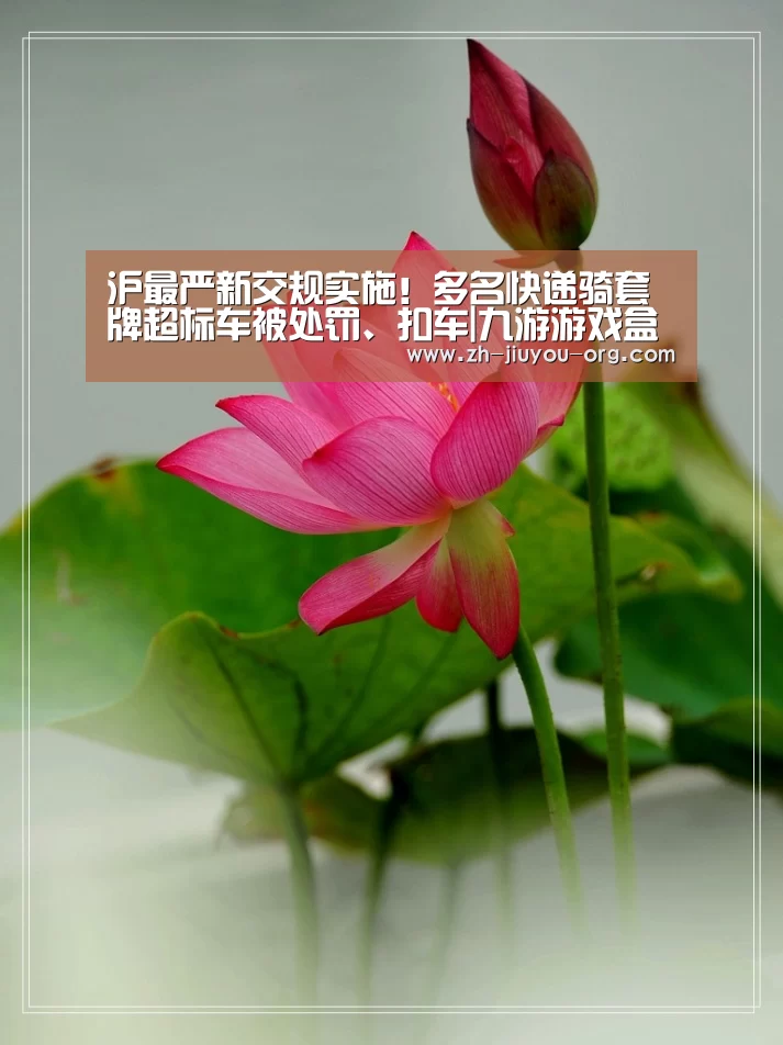沪最严新交规实施!多名快递骑套牌超标车被处罚、扣车|九游游戏盒子(图2) 九游官网下载