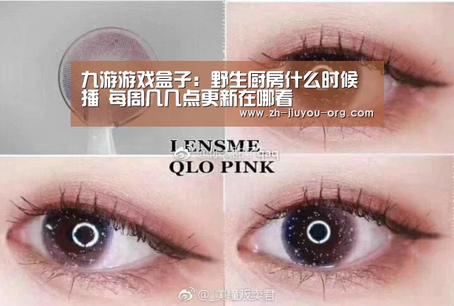 九游游戏盒子:野生厨房什么时候播 每周几几点更新在哪看(图1) 九游官网下载